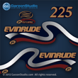 1999 2000 Evinrude Outboard decals 225 hp 225hp horsepower ficht direct fuel injection decal set