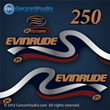 1999 2000 Evinrude Outboard decals 250 hp 250hp horsepower ficht direct fuel injection decal set