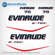 2004-2009 EVINRUDE ETEC 75 hp decal set White Engines Only